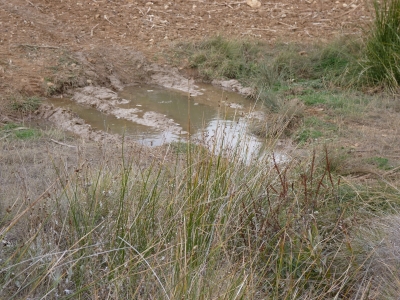 Fuente de la Tornajilla - imagen 3
