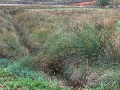 Manantial de Valdegómez - imagen 2