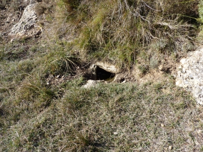 Fuente de Vallejo Lonsón - imagen 1