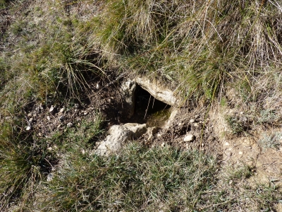 Fuente de Vallejo Lonsón - imagen 2