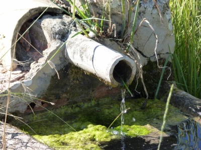 Fuente del Villarejo - imagen 3