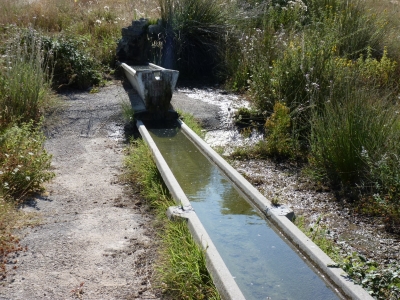 Fuente del Villarejo - imagen 7