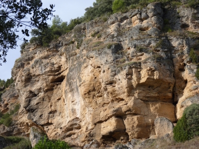 Fuente de la Peña del Buitre - imagen 5