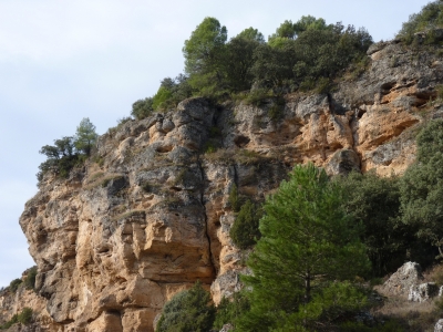 Fuente de la Peña del Buitre - imagen 6