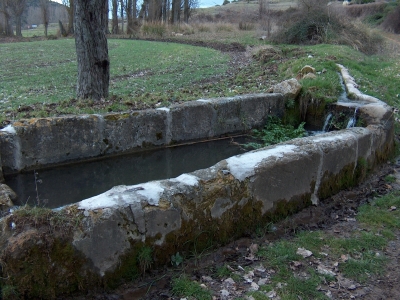 Fuente del Pilar - imagen 1