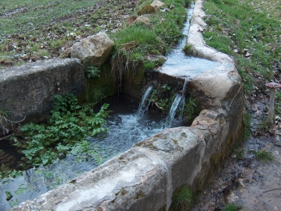 Fuente del Pilar - imagen 2