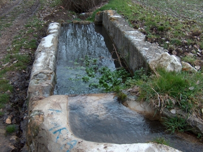 Fuente del Pilar - imagen 3