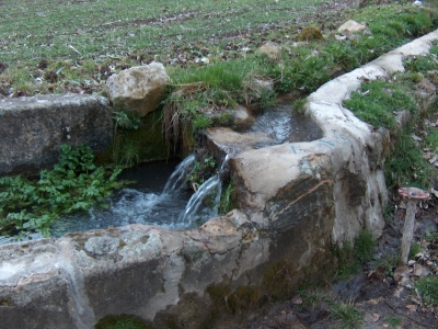Fuente del Pilar - imagen 4