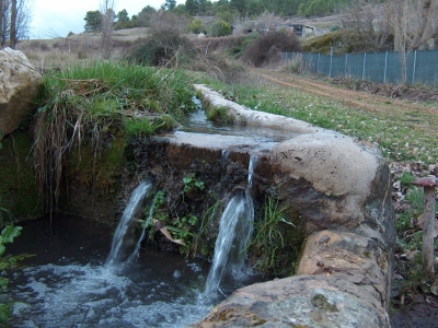 Fuente del Pilar - imagen 5