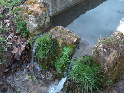 Fuente del Pilar - imagen 6