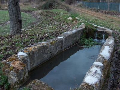 Fuente del Pilar - imagen 7