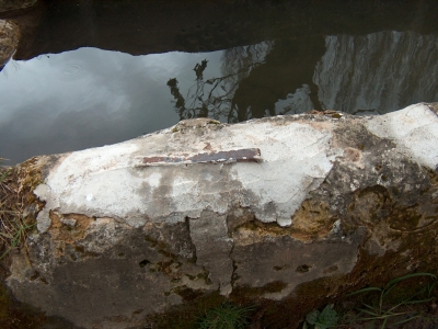 Fuente del Pilar - imagen 8