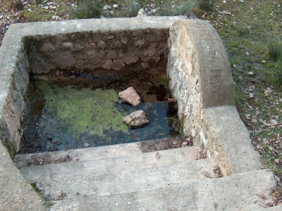 Fuente de la Cagueta - imagen 8