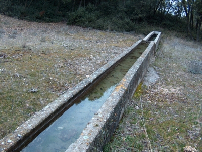 Fuente de la Casa del Peón - imagen 4
