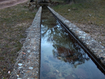 Fuente de la Casa del Peón - imagen 5
