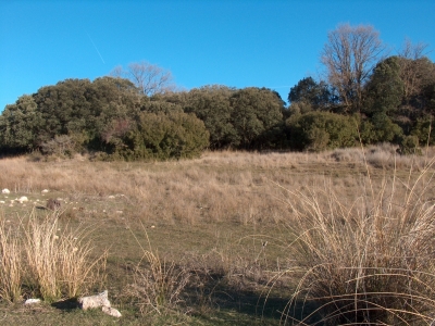 Fuente del Ciervo - imagen 6