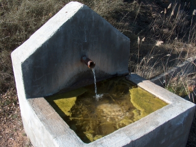 Fuente de la Gallina - imagen 4