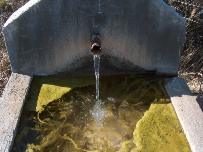 Fuente de la Gallina - imagen 5