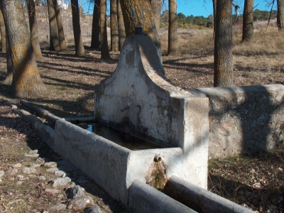 Fuente de los Gamellones - imagen 4