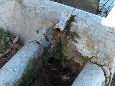 Fuente de los Gamellones - imagen 9