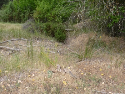 Fuente del Huerto - imagen 1
