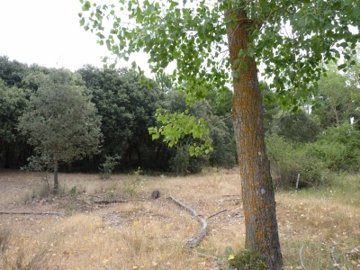 Fuente del Huerto - imagen 4