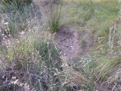 Manantial de Atascaburros - imagen 2