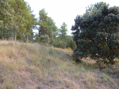 Manantial de Atascaburros - imagen 4