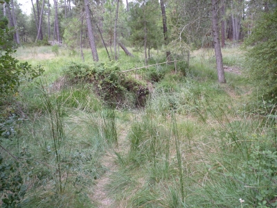 Fuente de los Palos - imagen 1