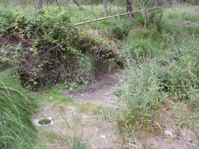 Fuente de los Palos - imagen 2