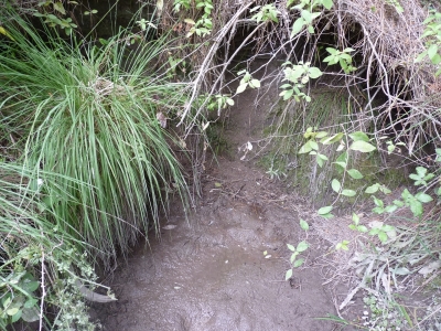 Fuente de los Palos - imagen 3