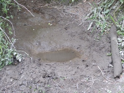 Fuente de los Palos - imagen 4