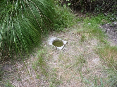 Fuente de los Palos - imagen 5