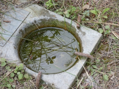 Fuente de los Palos - imagen 6