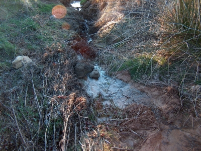 Fuente de la Peña del Pico - imagen 6