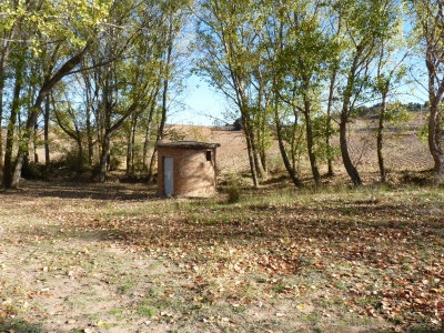 Fuente de San Isidro - imagen 1