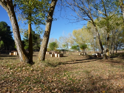 Fuente de San Isidro - imagen 4