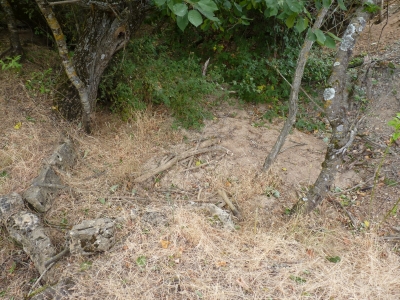 Fuente del Tejar - imagen 2