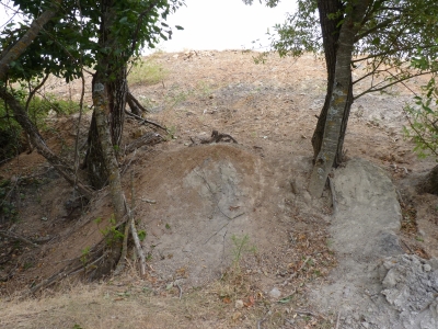Fuente del Tejar - imagen 3