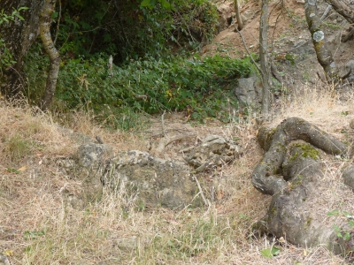 Fuente del Tejar - imagen 4