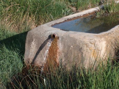 Fuente de la Peña - imagen 7