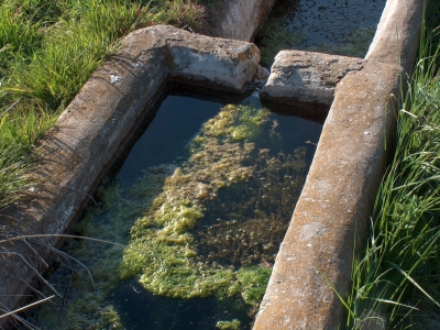 Fuente de la Peña - imagen 8