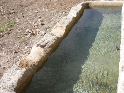 Fuente de los Burros - imagen 7