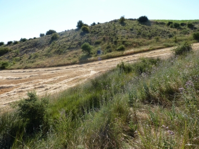 Fuente Gimeno - imagen 1