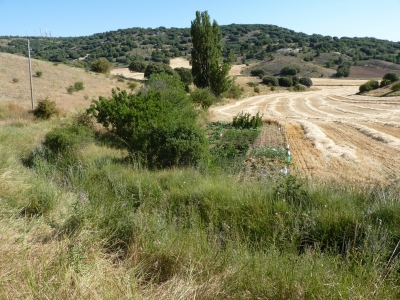 Fuente Gimeno - imagen 2