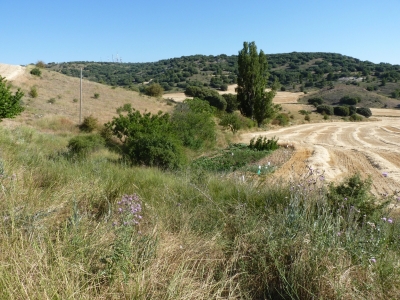 Fuente Gimeno - imagen 4