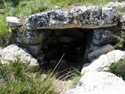 Fuente de Gregorio - imagen 3