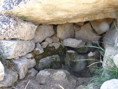 Fuente de Gregorio - imagen 4