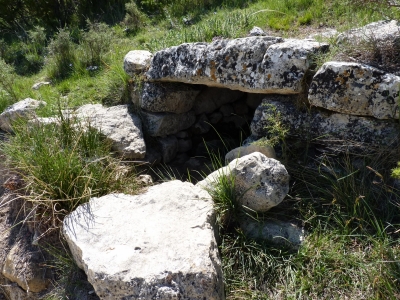 Fuente de Gregorio - imagen 5