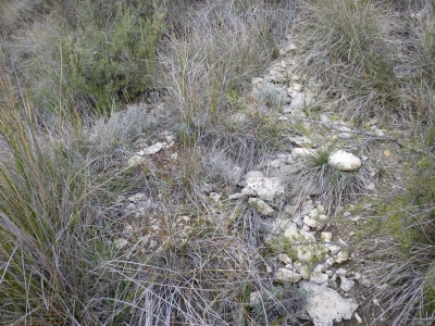 Poza de Villamar - imagen 2